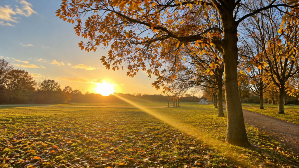 Aesthetic Norfolk Walks: The Prettiest Autumn Places To Wander